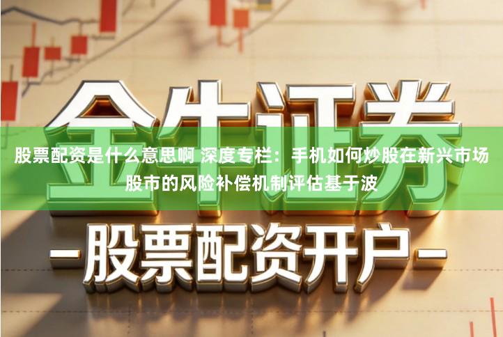 股票配资是什么意思啊 深度专栏：手机如何炒股在新兴市场股市的风险补偿机制评估基于波