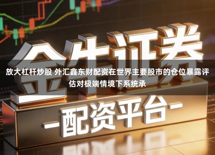 放大杠杆炒股 外汇鑫东财配资在世界主要股市的仓位暴露评估对极端情境下系统承